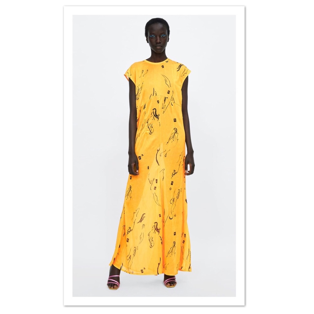 Zara Long Printed Dress - NWT